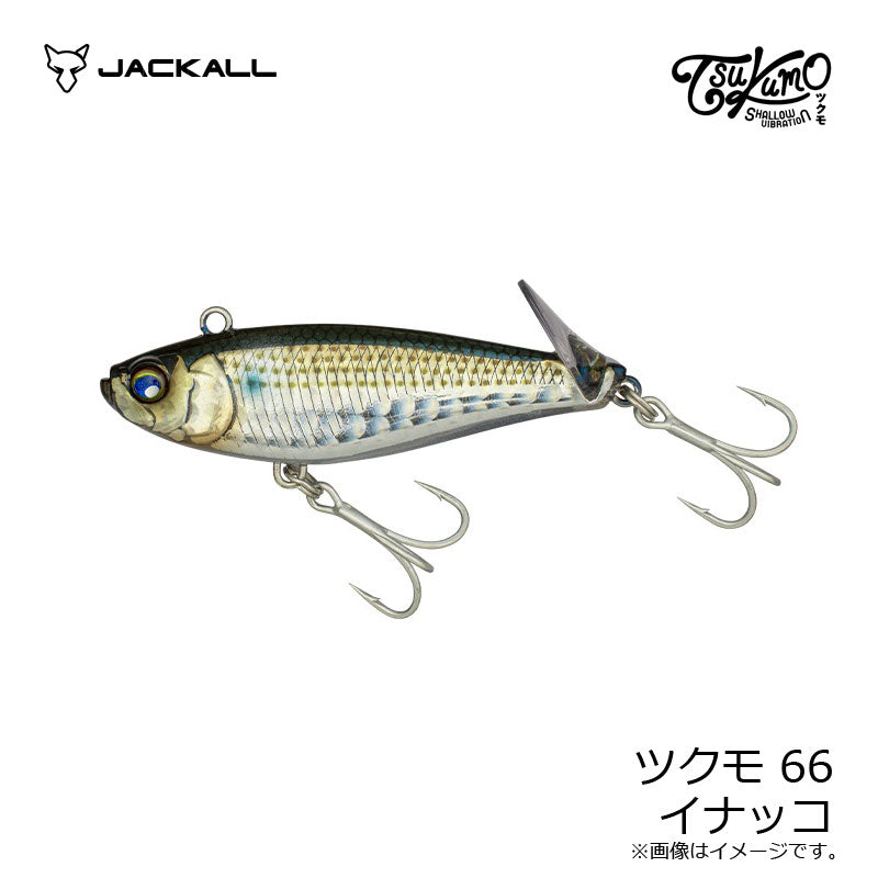 ツクモ66