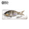 #207 re-F GILL