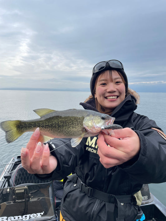 冬の奥琵琶湖釣行レポート！ワカサギパターンでブラックバスを攻略