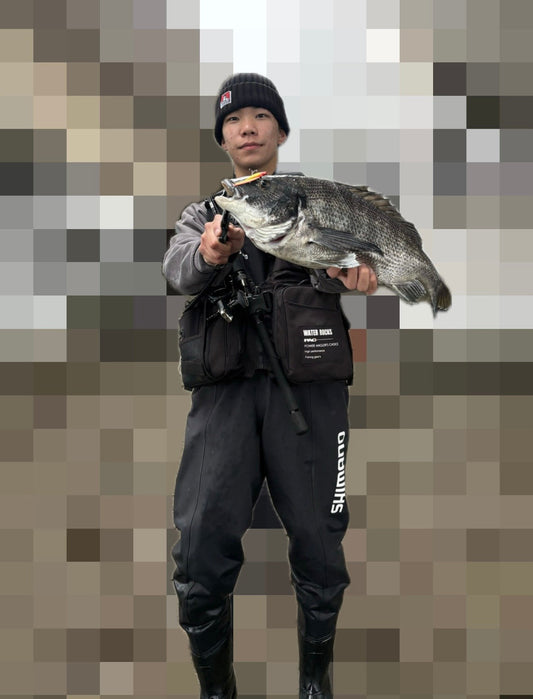 雨後の1匹｜タフコンディションを攻略して54cmのクロダイをキャッチ