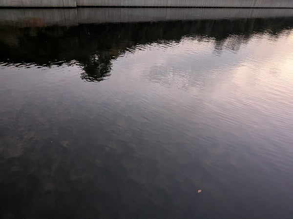 【大阪湾チニング】12月の寒チヌ調査！厳寒期でも釣果あり？