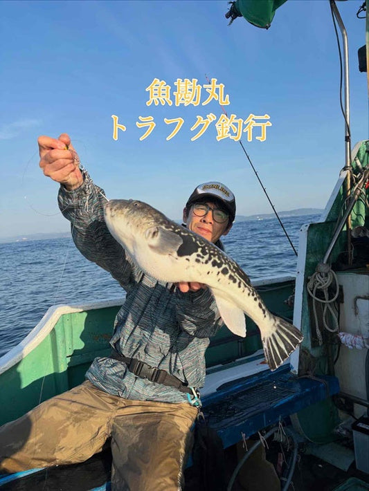 【三重・魚勘丸】乗っ込みトラフグ絶好調！大型中心にリミット5匹達成