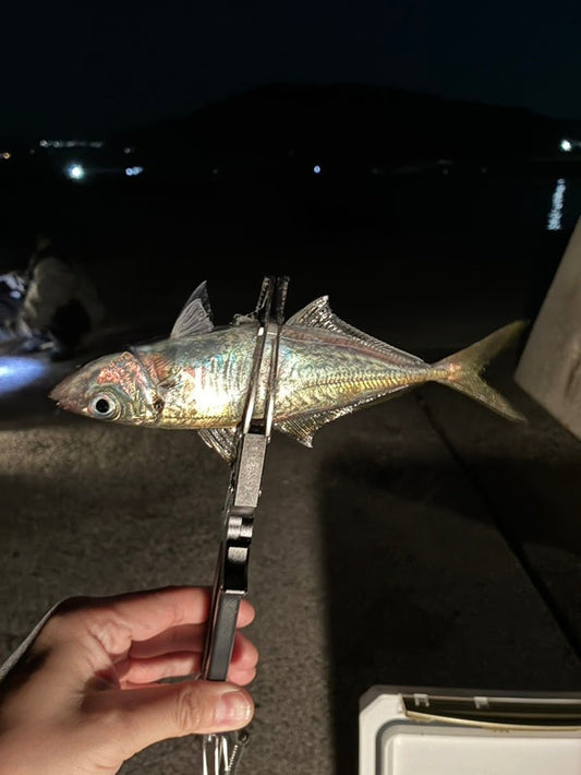 アジング調査！兵庫の堤防で最大27cmまでをキャッチ