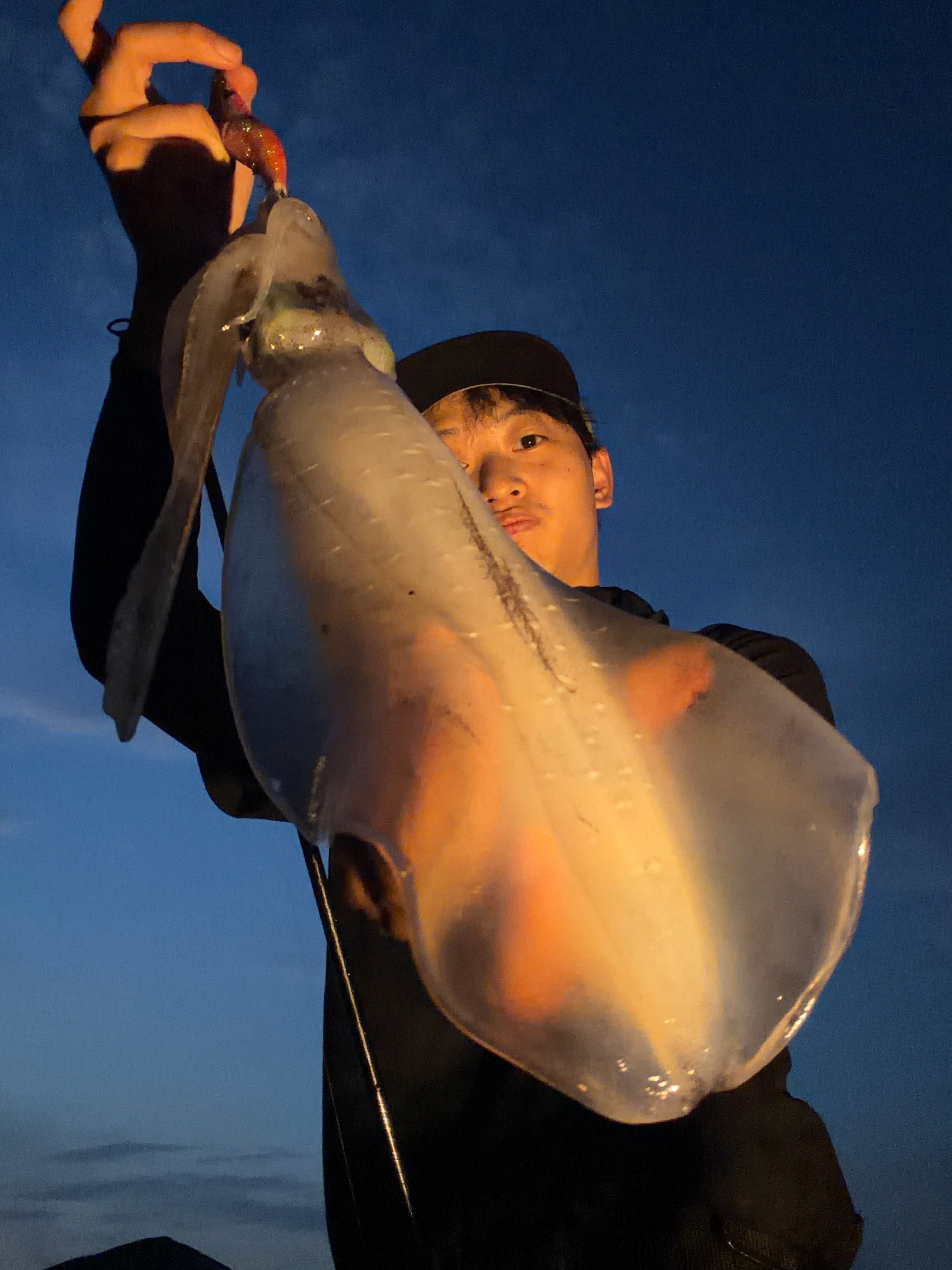 【静岡・沼津】夏エギング開幕！夕マヅメに1kg級アオリイカをキャッチ