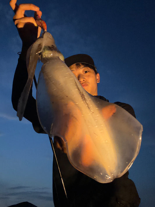 【静岡・沼津】夏エギング開幕！夕マヅメに1kg級アオリイカをキャッチ