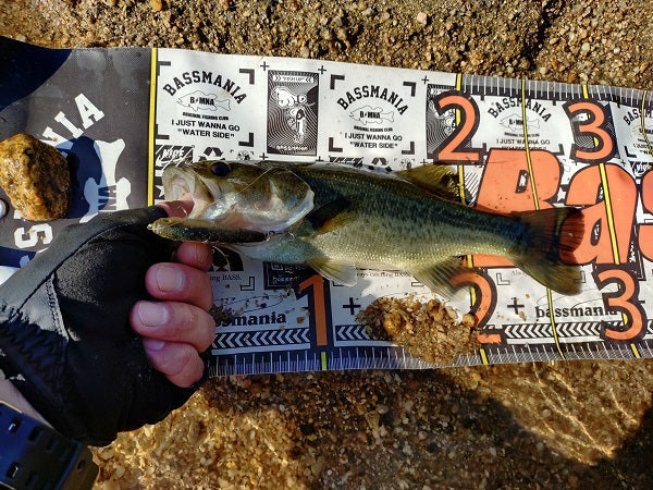 【高山ダムバス釣行】3度目の正直で連発劇！最大49cm含む良型13本キャッチ｜2025年8月中旬