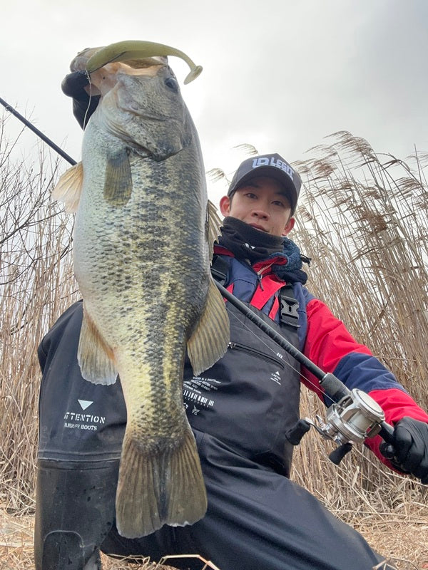 【琵琶湖南湖】シャッドテールが熱い！おかっぱりで51cmの50アップをキャッチ