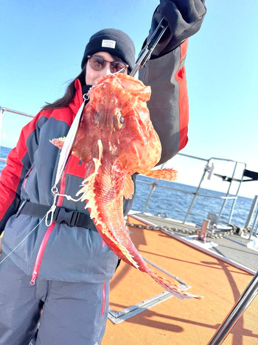 【日本海ブレードジギング】京都・舞鶴〜丹後エリアでの釣行記！お土産にオニカサゴゲット