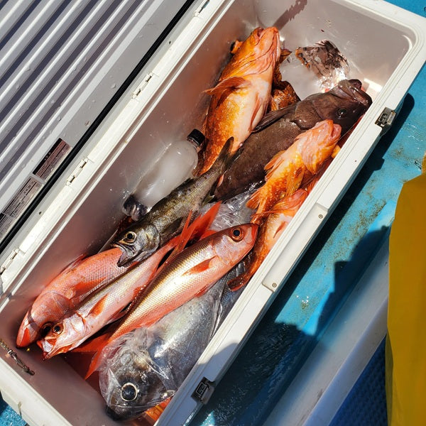 【千葉・萬栄丸】イシナギ狙いから根魚五目へ！魚種豊富で大満足の一日
