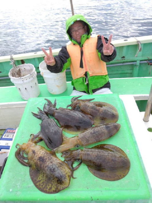 【湘南・茅ヶ崎沖】秋のアオリイカ船釣りレポート！中オモリ式エギングで良型連発！