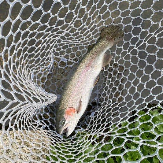 【エリアトラウト入門】寒くても釣れる！冬の攻略法とおすすめルアー紹介