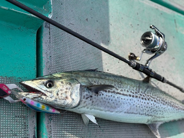 【東京湾サワラキャスティング】成海丸で本命キャッチ！セットアッパー125S-DRが活躍