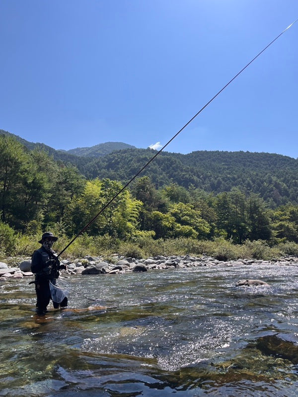 【岐阜・鮎釣り】人も魚も夏バテ気味？猛暑と高水温に苦戦した友釣り釣行記