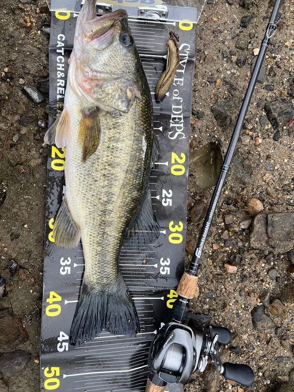 【琵琶湖・南湖】陸っぱりバス釣行！春爆前の45cmキャッチ