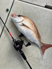 和歌山でタイラバ挑戦！50cmのマダイを釣り上げる