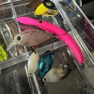 【ワンダーカップ in なら山】豪華メンバーに囲まれて奮闘！奇跡の1抜けで準決勝進出🎣🔥