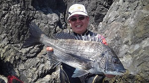 【三重県 方座浦】グレ・チヌ狙いの磯フカセ釣行！パターンを掴んで良型連発🎣