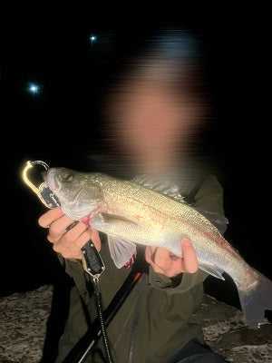 【須磨海岸メバリング釣行記】狙いはメバルも…ヒットしたのはセイゴ！