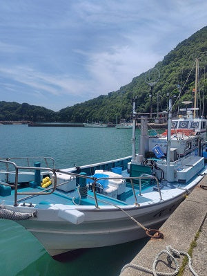 🌅 南紀白浜・落とし込み初挑戦レポート