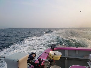 【2025年最新】相模湾コマセマグロ初戦レポート｜キハダ狙いで茅ヶ崎・沖右ヱ門丸へ出船！