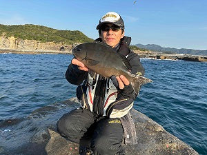【和歌山・市江崎磯釣りレポート】冬グレ活性上昇中！最大35cmの尾長グレ連発！