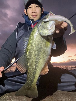 【琵琶湖バス釣り】マウンテンフィッシュ発売日にヒット！寒波後の北湖で価値ある1本！