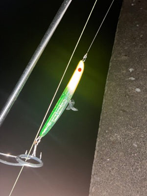【利根川】サヨリパターン到来⁉️ナイトゲームで魅せた激震バイト💥