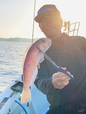【和歌山のアマダイ釣り】初心者でも楽しめる！初挑戦でシロアマダイをキャッチ🎣