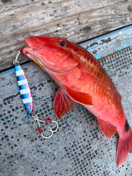 【三重・志摩】大忠丸SLJ便！近海ジギングで高級根魚連発