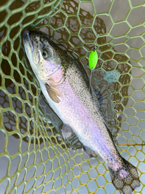 サンクチュアリ（フィッシングサンクチュアリ）で110匹！三重県いなべ市でエリアトラウトを満喫した釣行レポート【2026年2月】