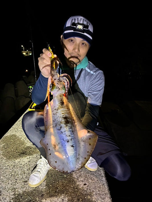 遂にやりました！兵庫の堤防エギングでアオリイカ2杯をキャッチ