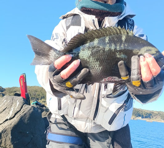 【初釣り】串本・灘のコウデでグレ狙い！〜潮の難しさに挑み、価値ある6枚をキャッチ♪〜