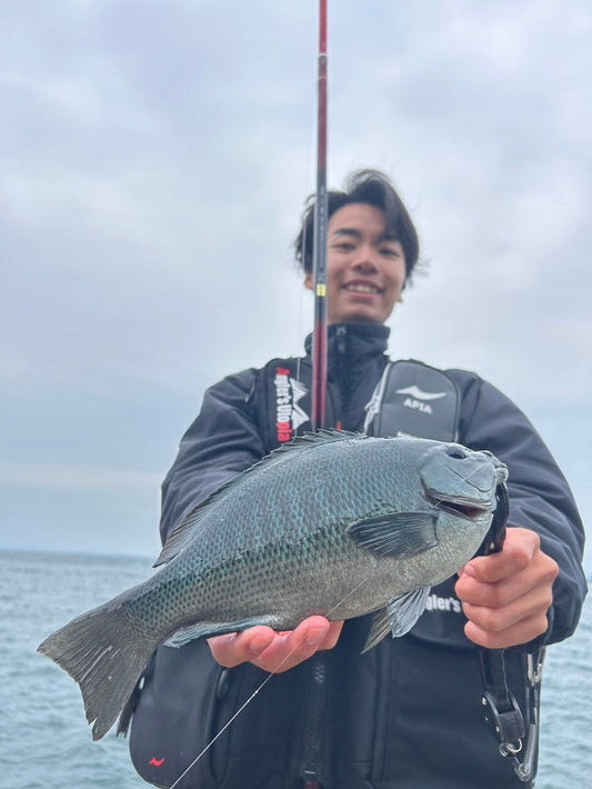 【和歌山初級地磯で爆釣！】強風下でもグレ20匹！初挑戦フカセ釣り大成功🎣