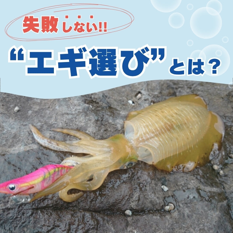 失敗しないエギ選びとは？エギング初心者が知るべきポイント＋おすすめモデル