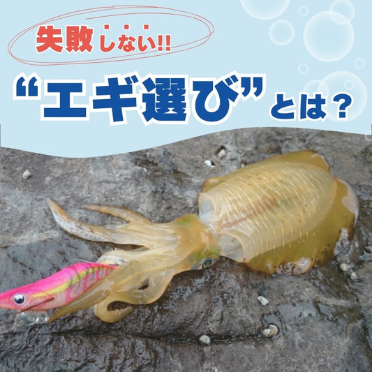 失敗しないエギ選びとは？エギング初心者が知るべきポイント＋おすすめモデル