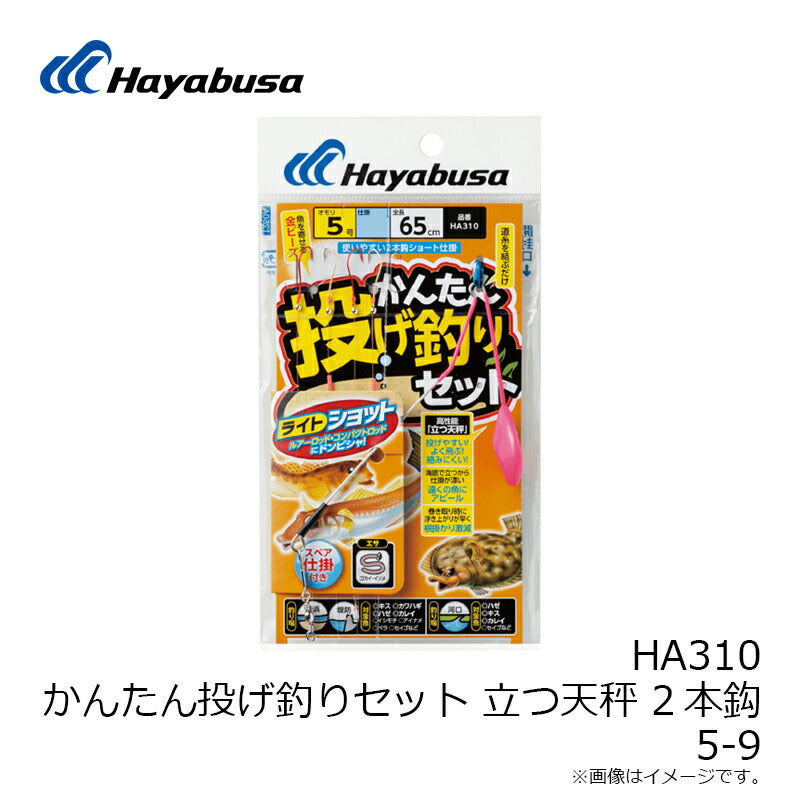 HA310 かんたん投げ釣りセット 立つ天秤 2本 オモリ5号 – つり具の