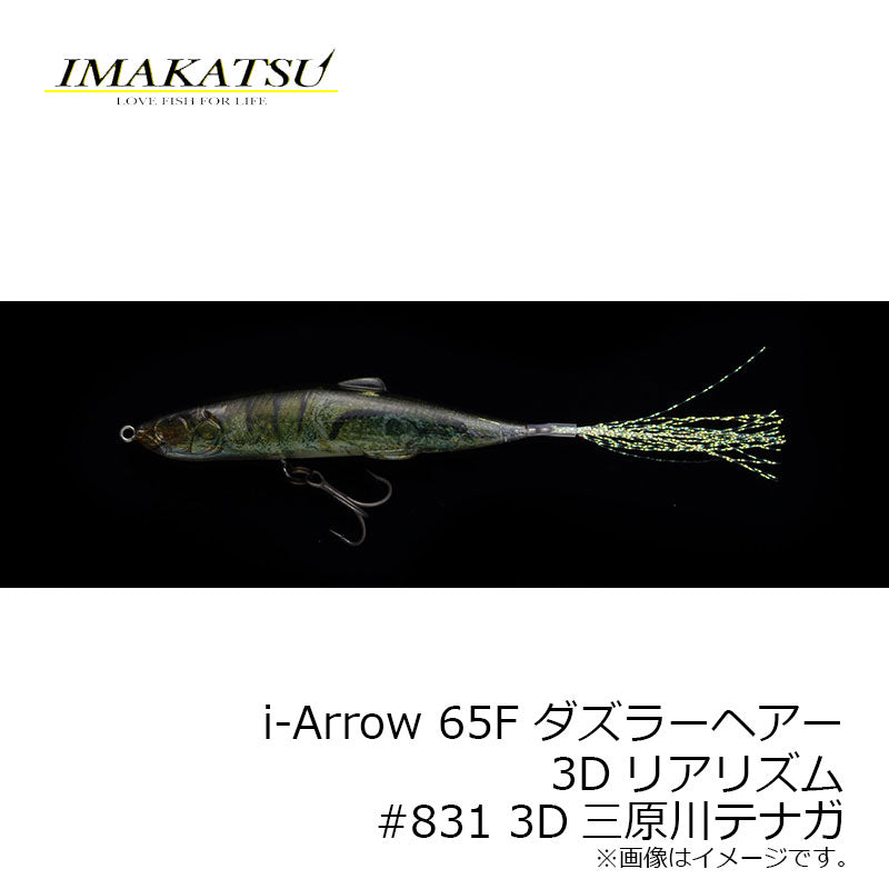 i-Arrow 65F ダズラーヘアー　