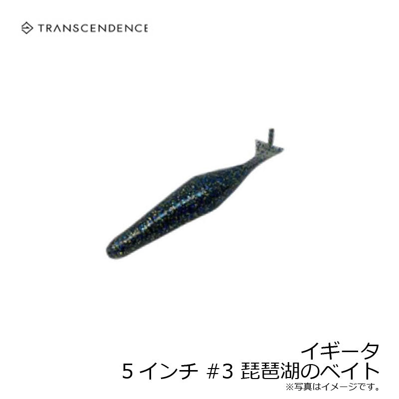イギータ 5インチ