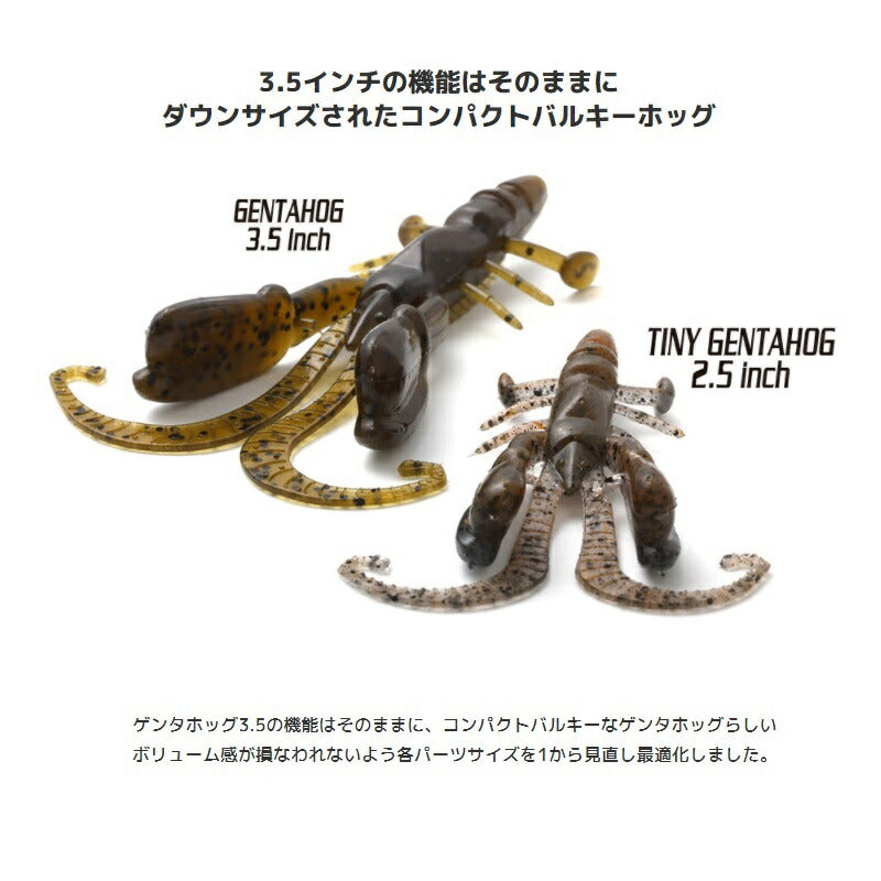 タイニーゲンタホッグ(エコ対応品) 2.5インチ　#S-481イマエGPマックスブルーフレーク