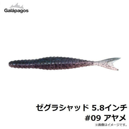 ゼグラシャッド 5.8インチ