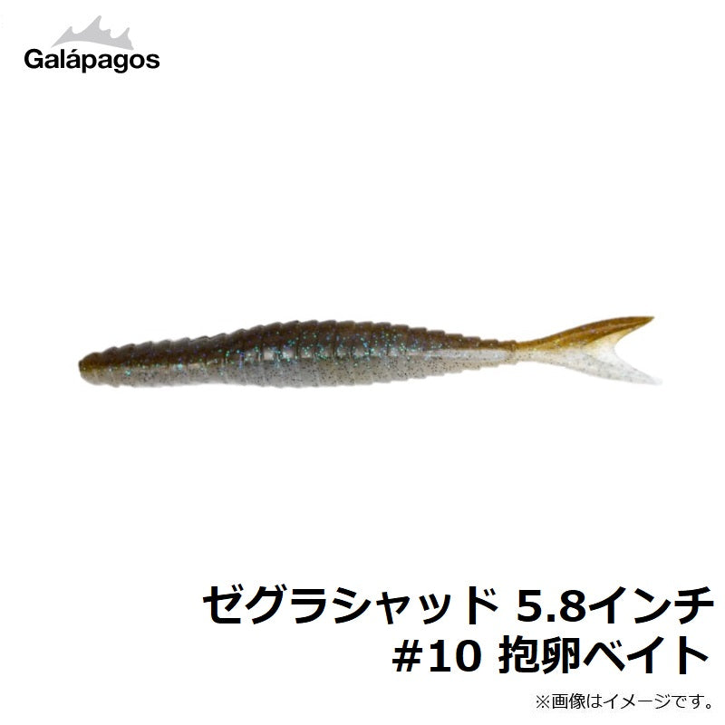 ゼグラシャッド 5.8インチ
