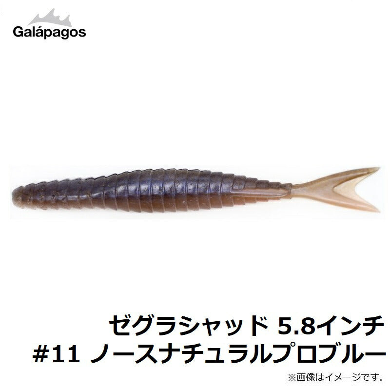 ゼグラシャッド 5.8インチ