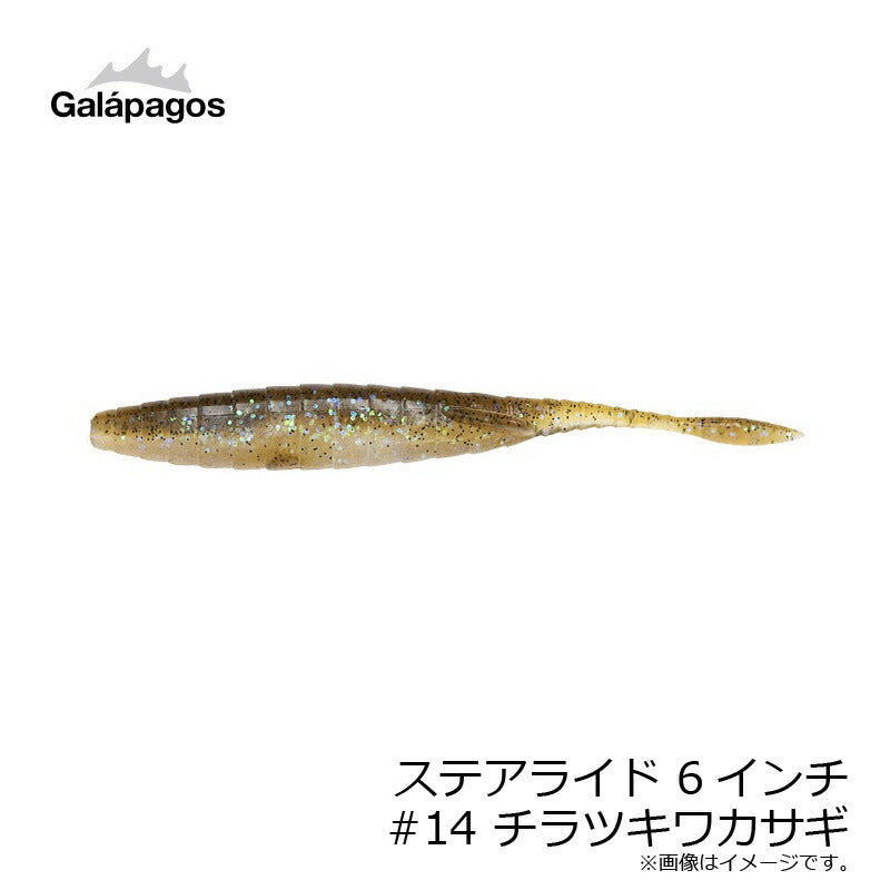 ステアライド 6インチ