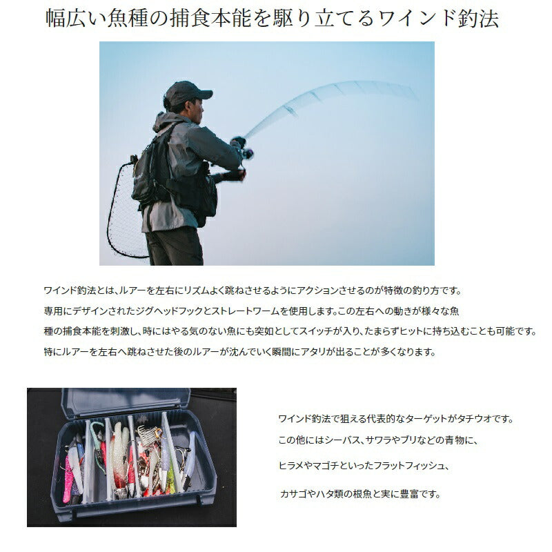ダイナダート S80MH