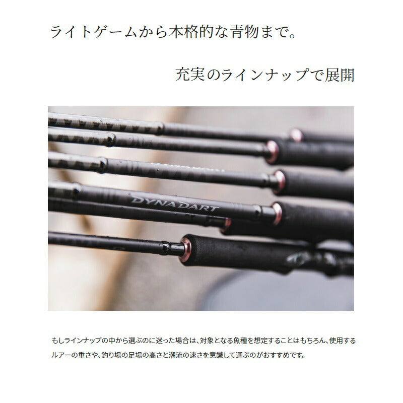 ダイナダート S80MH