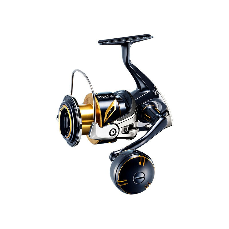 20 ステラ SW 6000HG