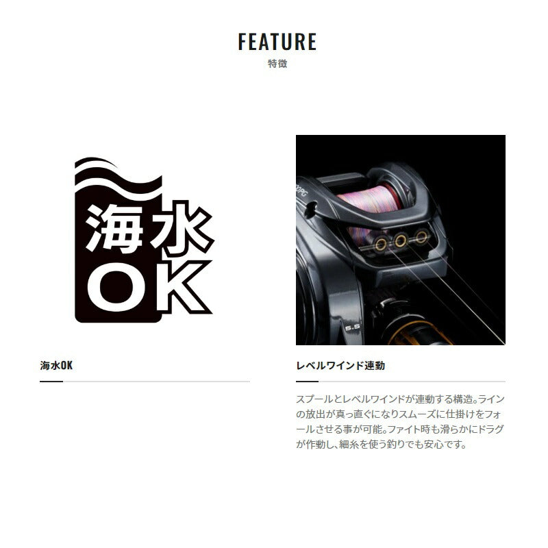22エンゲツBB 100HG