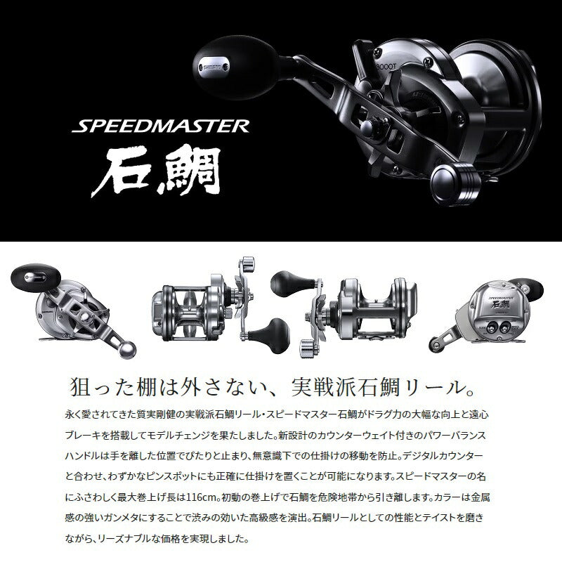 23スピードマスター石鯛 3000T