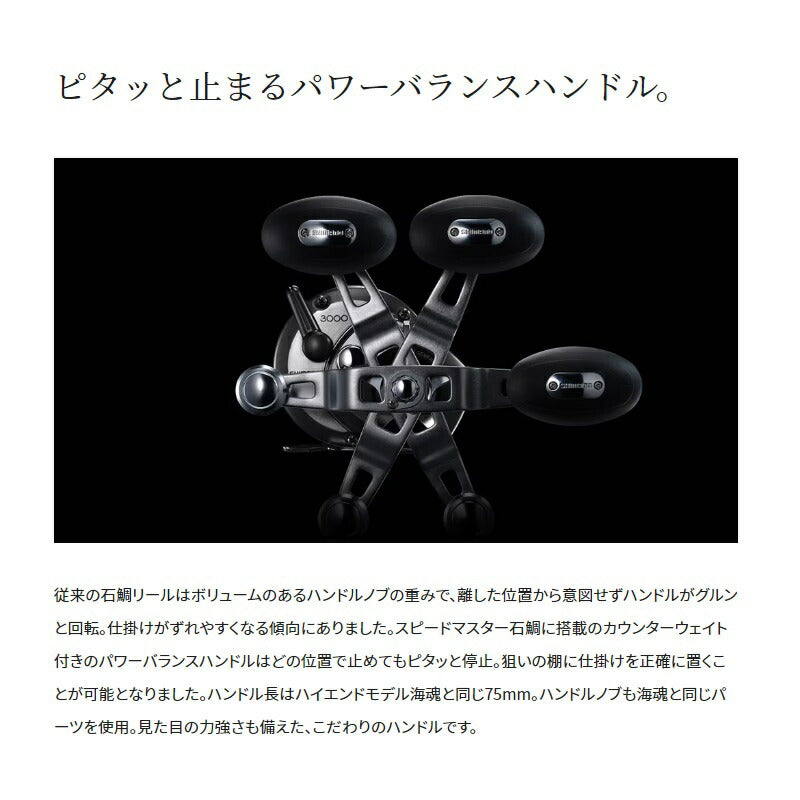 23スピードマスター石鯛 3000T