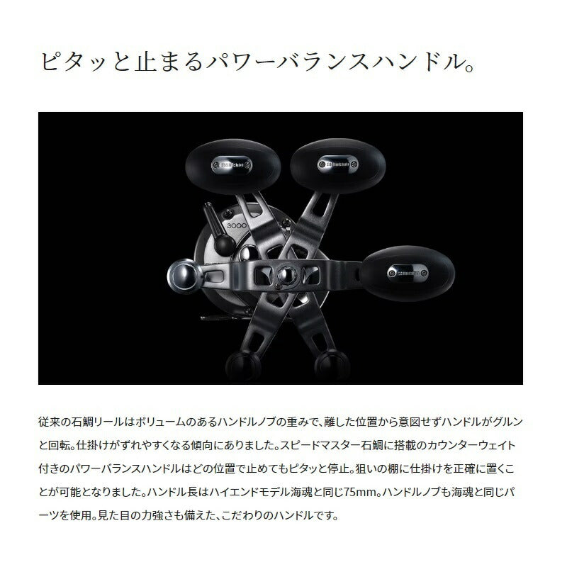 23スピードマスター石鯛 4000T
